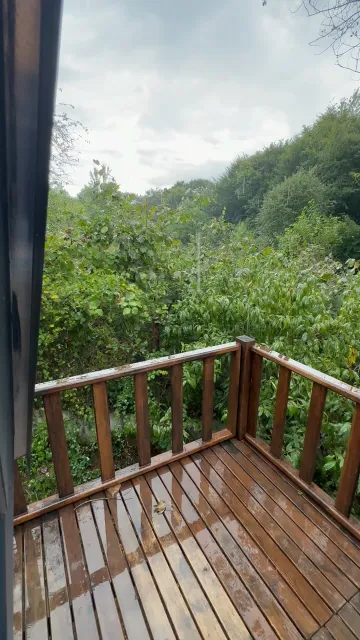 Huzurun adresi 📍 🌳#istanbulbungalov #bungalovkonaklama #havuzlubungalov #huzur #doga #jakuzi #bungalov #bungalow #konaklama #otel